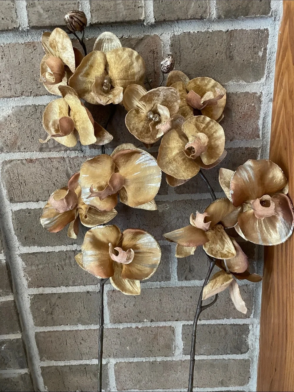 Gold Orchid Stems (2)